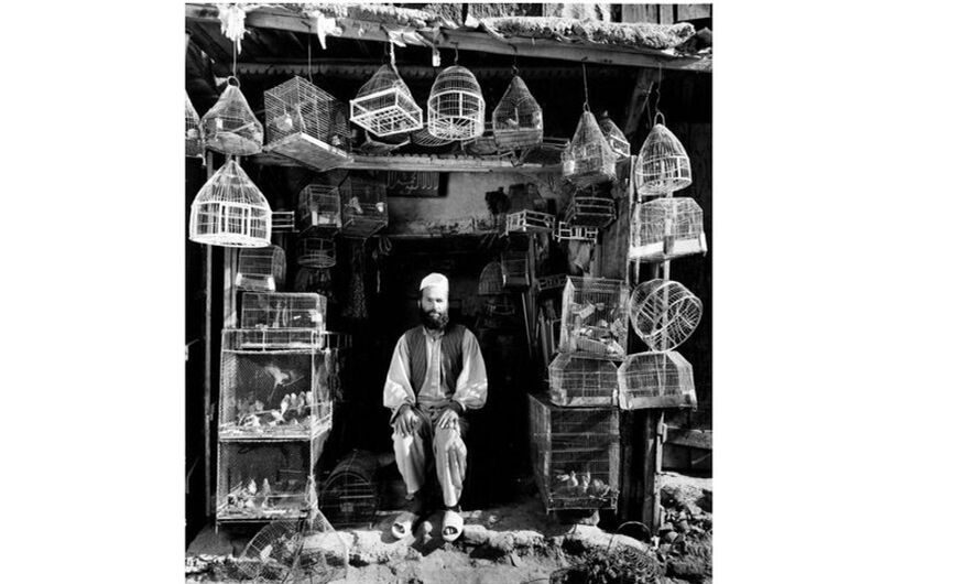 Продавец птиц на базаре в Кабуле – 2002 г.