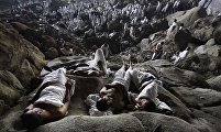 THE ANNUAL MUSLIMS HAJJ, Ashraf Amra, Israel