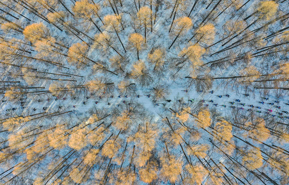 На лыжах в весну Ski into spring