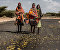 Locust invasion in East Africa