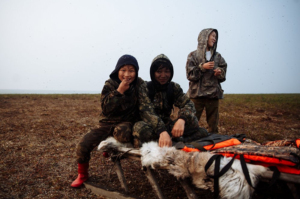 Children of the arctic