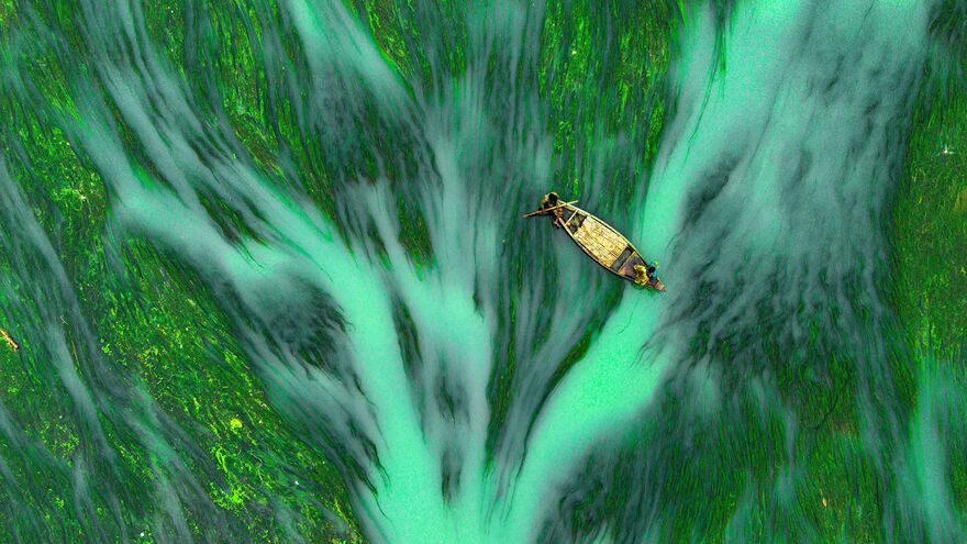 Algae River