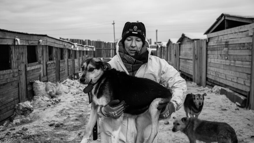 Эвакуация Эвакуация