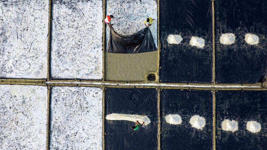 Salt cultivation in coastal areas