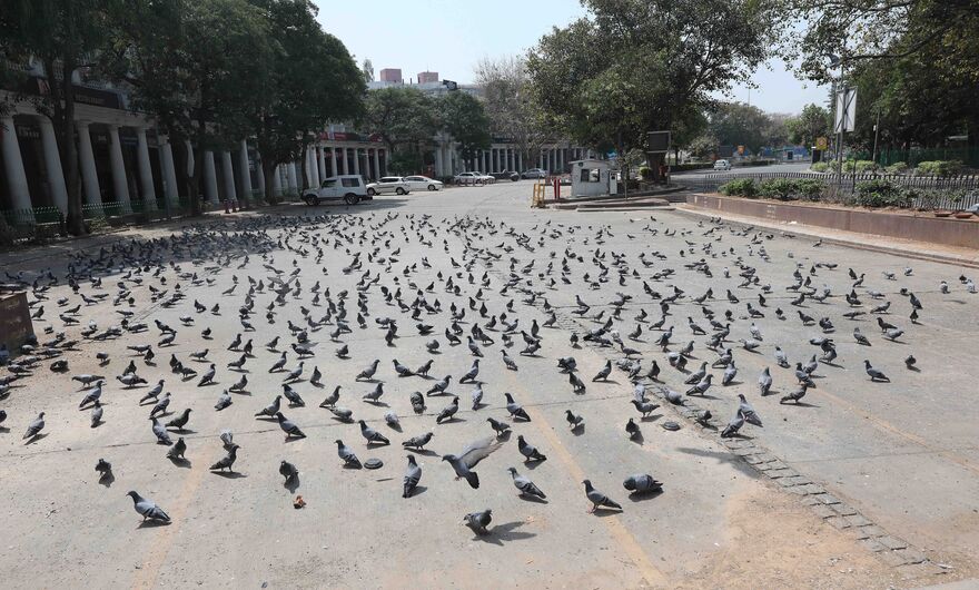 Голуби разгуливают по пустой парковке в Коннот-Плейс, крупном финансовом и бизнес-центре в столице Индии Нью-Дейли.